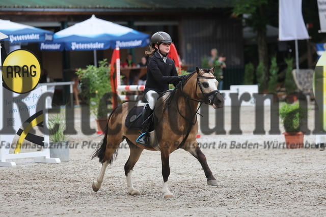 Ichenheim_2024_Prfg.Nr.26_Stilspring-WB_60cm_Frida Veil_Ulbargens EDISON (12) | Alle Fotos der Reiterjournal Fotografin Doris Matthaes im Reiterjournal Online-Fotoshop. - Realisiert mit Pictrs.com