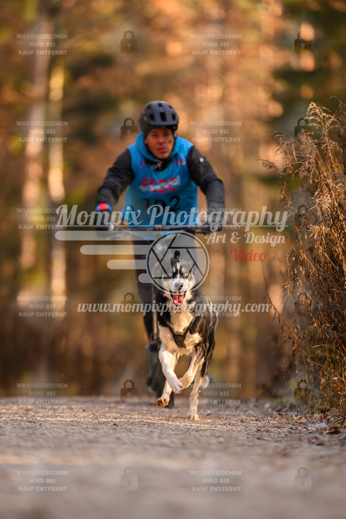 MompixPhotography_DM_AKDM_SO_2025_Scooter-223 | PayLife