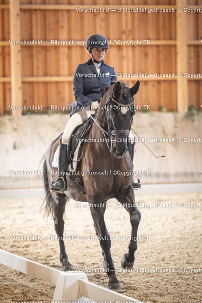 _D5A8892 | Emotionale Pferde- & People-Fotografie rund um Heidelberg, Leimen & Umgebung. Natürliche Fotos von Pferd, Mensch & Familie. Jetzt Termin sichern!