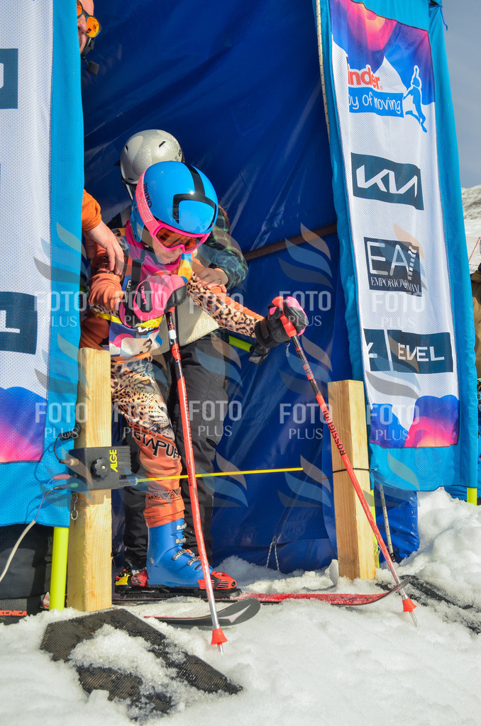 _ELE4360 | holidayphoto