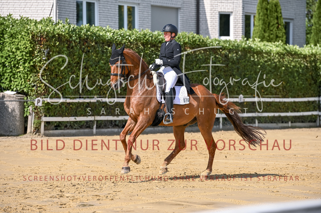 Schugtsche-Aluta25-58. Dressurprf.S1Kand.St.GeorgSpecial-304 | Schugtsche Fotografie - Realisiert mit Pictrs.com