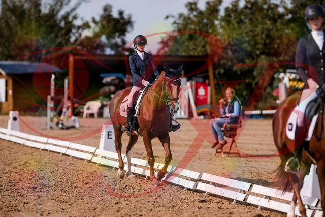 2026_10_03_Siefer-Hof_133200_Z81_87720913 | Professionelle Reitsport-, Turnier- und Eventfotografie von Robert Broda. Galerien mit ausgewählten und bearbeiteten Bildern direkt online ansehen und bestellen.
