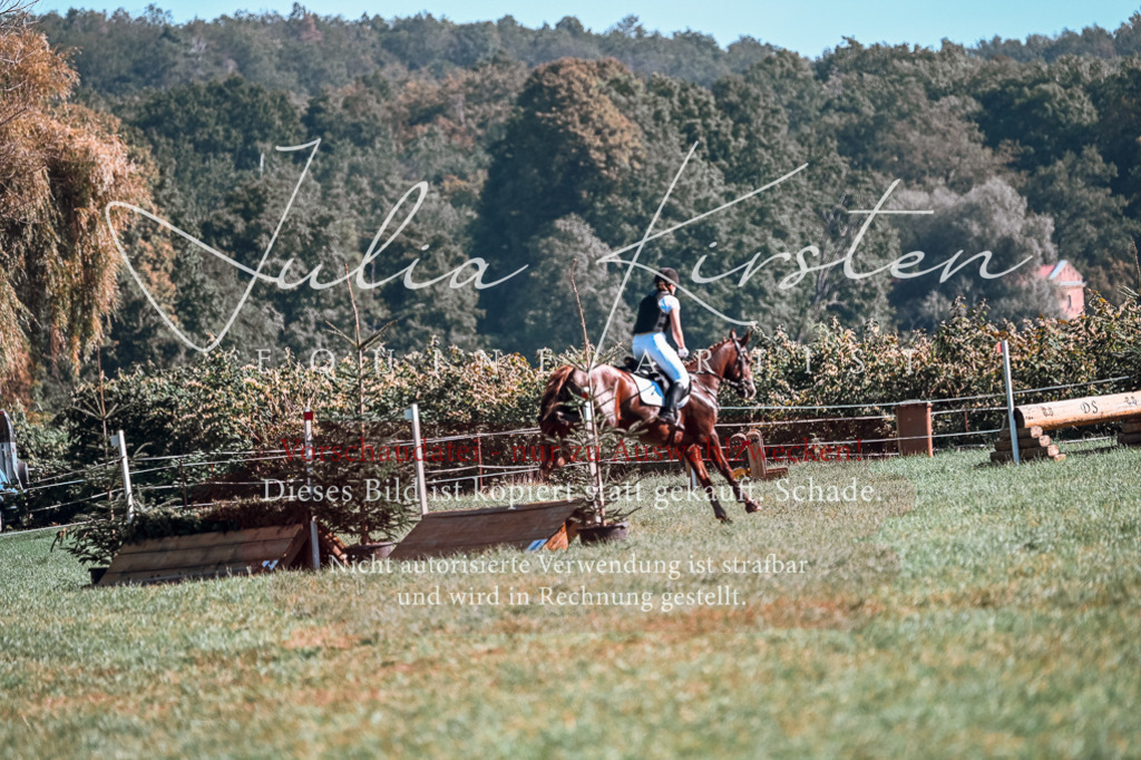 DSC_0761 | Pferde- und Turnierfotografie in Westsachsen. Pferdeportraits, Auftragszeichnungen und intuitive Kunst.