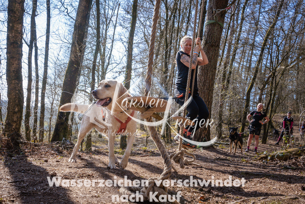 1113_ZZ97005 | kk-dogfotos