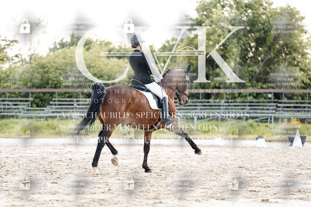 CK909842 | Turnierfotografie Pferdefotografie Trier Rheinland-Pfalz Pferdesport Reitsport Tierfotografie Sportfotografie Pferdevideo Pferdevideografie Equestrianvideography equestrianphotography  - Realisiert mit Pictrs.com