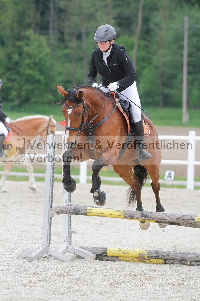 _MG_3567 | equestrian-live-com