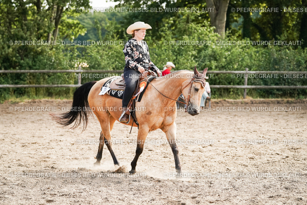 DSC04684 | Pferdegrafie