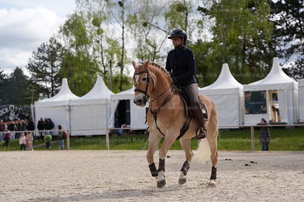 PI26_ST_Jan_Picutures7C_06858.JPG | working equitationturnier fotograf videograf stoibphotography marixx film working equitation deutschland reitsport turnierfotografie eventfotografie equestrian events