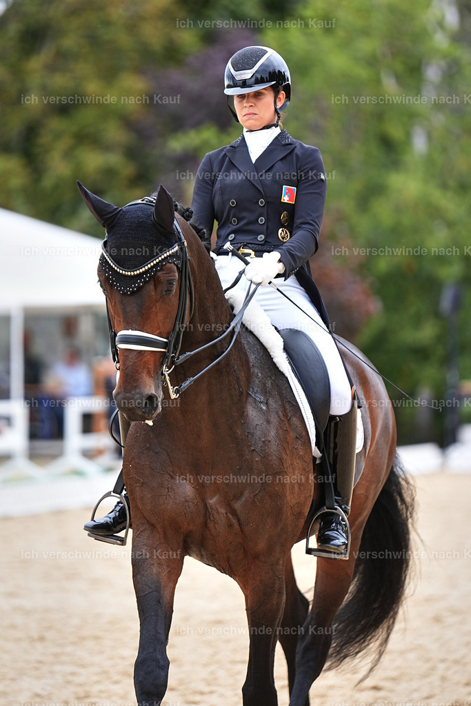 11-110-Dressur S___-Marixx-1549 | working equitationturnier fotograf videograf stoibphotography marixx film working equitation deutschland reitsport turnierfotografie eventfotografie equestrian events