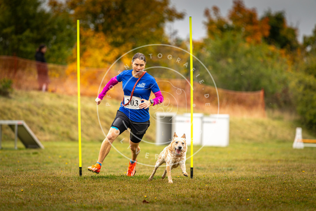 Pfotenfotografie_DV3A2023 | Hundefotografie, Tierfotograf, Pfotenfotografie, Fotoshooting Hund, Hunde Portrait, Hundesport, Hundeportraits, Heideshooting, Hunde, Sportfotograf, Hundefotograf, Turnierhundsport, THS,  - Realisiert mit Pictrs.com