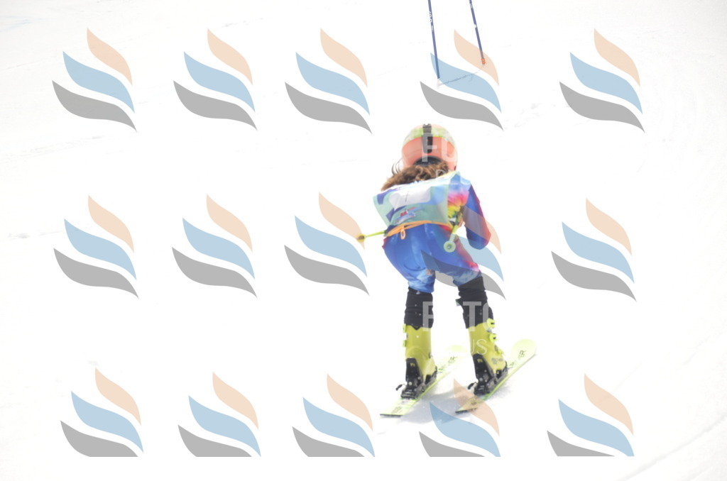 _ELE8535 | holidayphoto