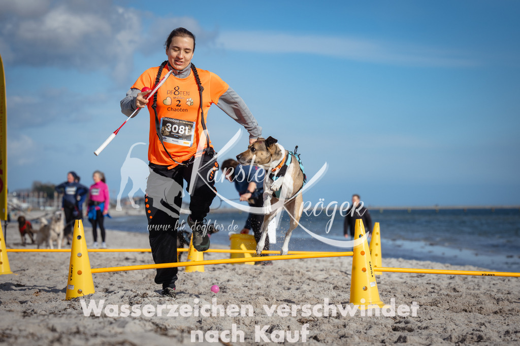 1340_ZZ92523 | kk-dogfotos