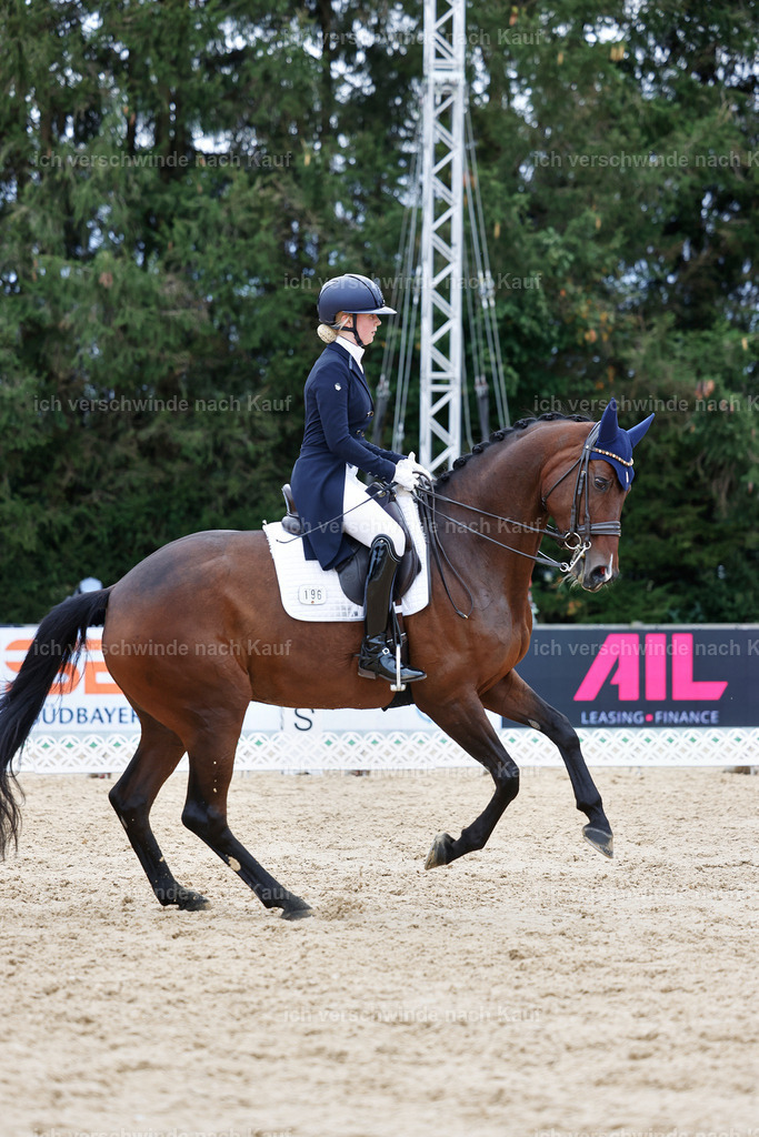 6-196-AMATUER-DRESSUR S_  -StoibPH-3520 | working equitationturnier fotograf videograf stoibphotography marixx film working equitation deutschland reitsport turnierfotografie eventfotografie equestrian events