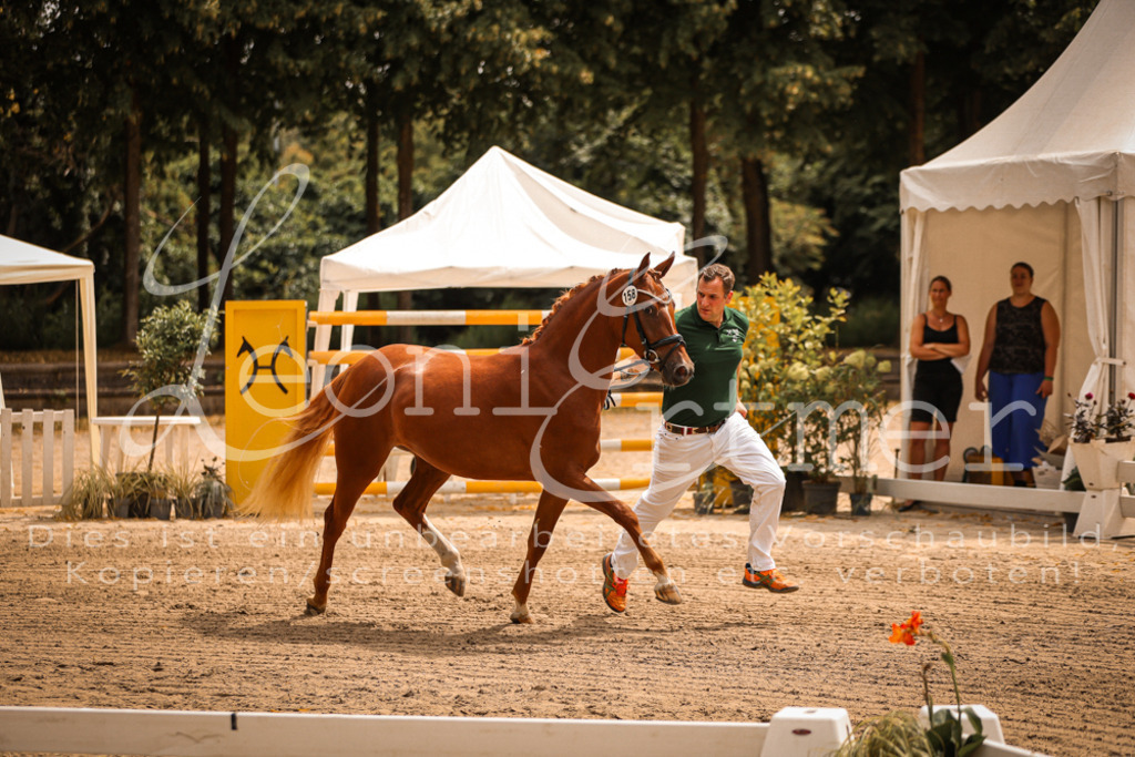 10.So00100 | Leoni Ertmer Photography - Realisiert mit Pictrs.com