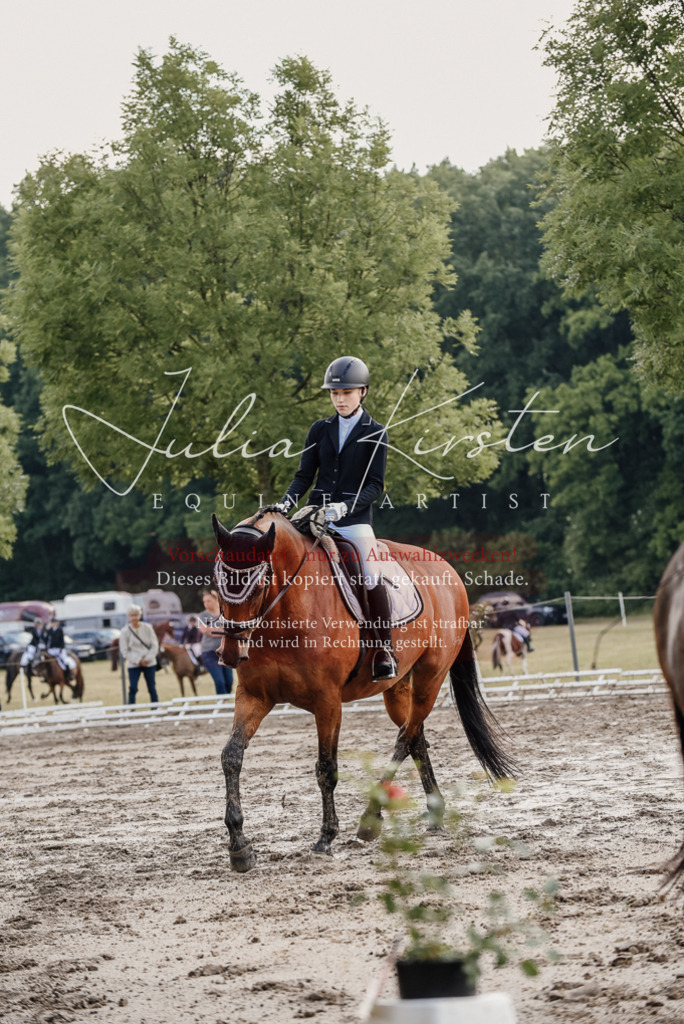 DSC_8174 | Pferde- und Turnierfotografie in Westsachsen. Pferdeportraits, Auftragszeichnungen und intuitive Kunst.