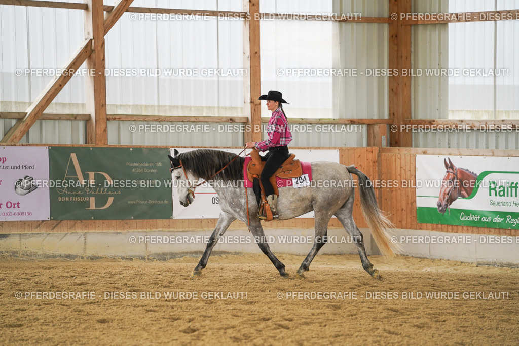 DSC04136 | Pferdegrafie