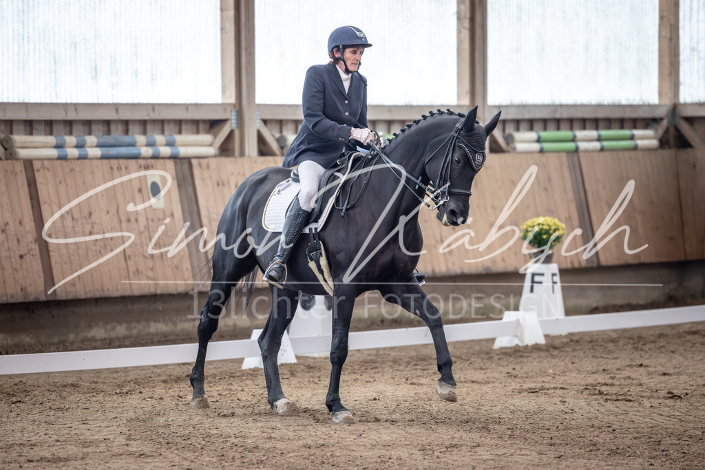20251011-_3LI1205 | Tierfotografie Pferde, Hunde, Katzen, Haustiere.
Turnierfotografie Reitturniere, Reiten, Springreiten, Dressur in Hanau, dem Main-Kinzig-Kreis und dem Rhein-Main- Gebiet um Frankfurt