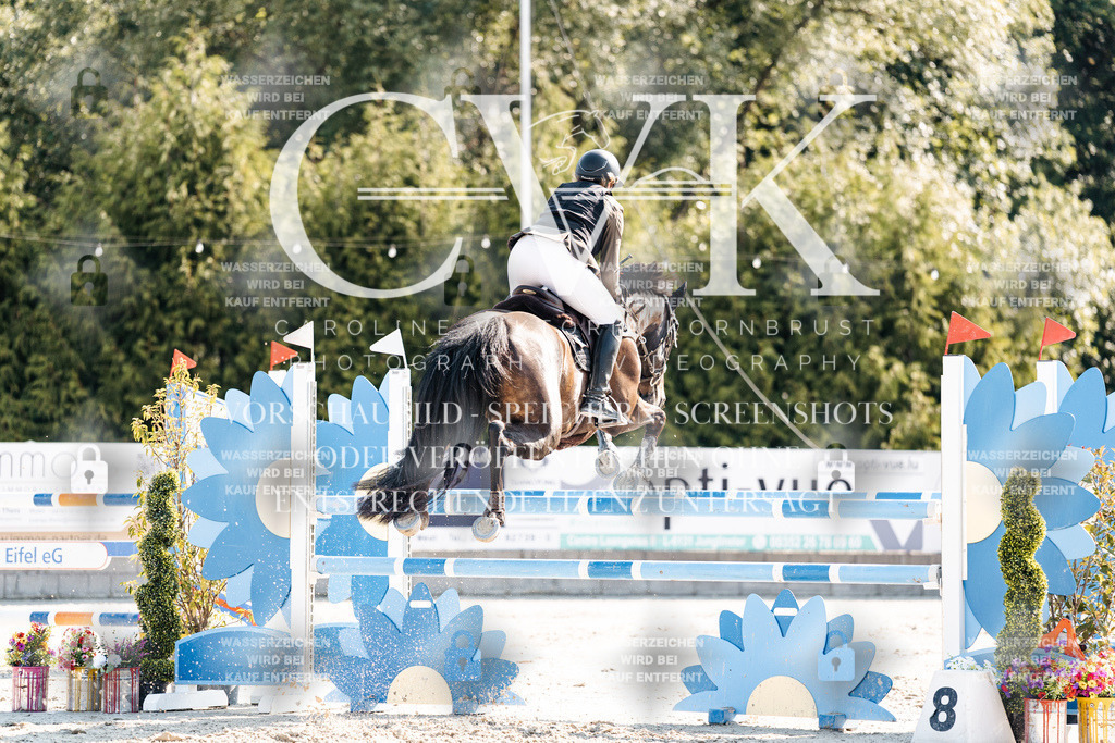 CK902172 | Turnierfotografie Pferdefotografie Trier Rheinland-Pfalz Pferdesport Reitsport Tierfotografie Sportfotografie Pferdevideo Pferdevideografie Equestrianvideography equestrianphotography  - Realisiert mit Pictrs.com