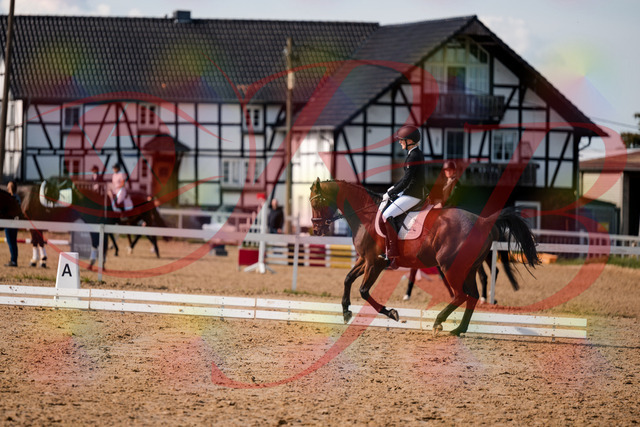 2026_10_03_Siefer-Hof_131040_Z63_73749630 | Professionelle Reitsport-, Turnier- und Eventfotografie von Robert Broda. Galerien mit ausgewählten und bearbeiteten Bildern direkt online ansehen und bestellen.