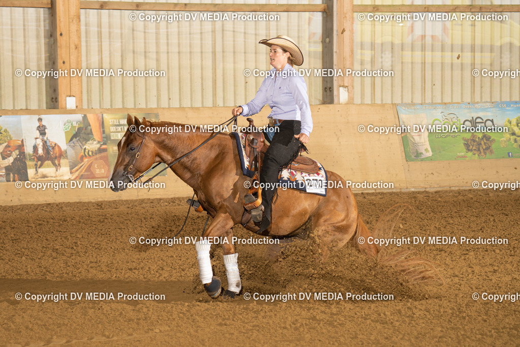 LAU00446 | dv-media-shop - Realisiert mit Pictrs.com