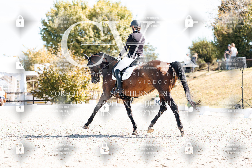 CK909737 | Turnierfotografie Pferdefotografie Trier Rheinland-Pfalz Pferdesport Reitsport Tierfotografie Sportfotografie Pferdevideo Pferdevideografie Equestrianvideography equestrianphotography  - Realisiert mit Pictrs.com