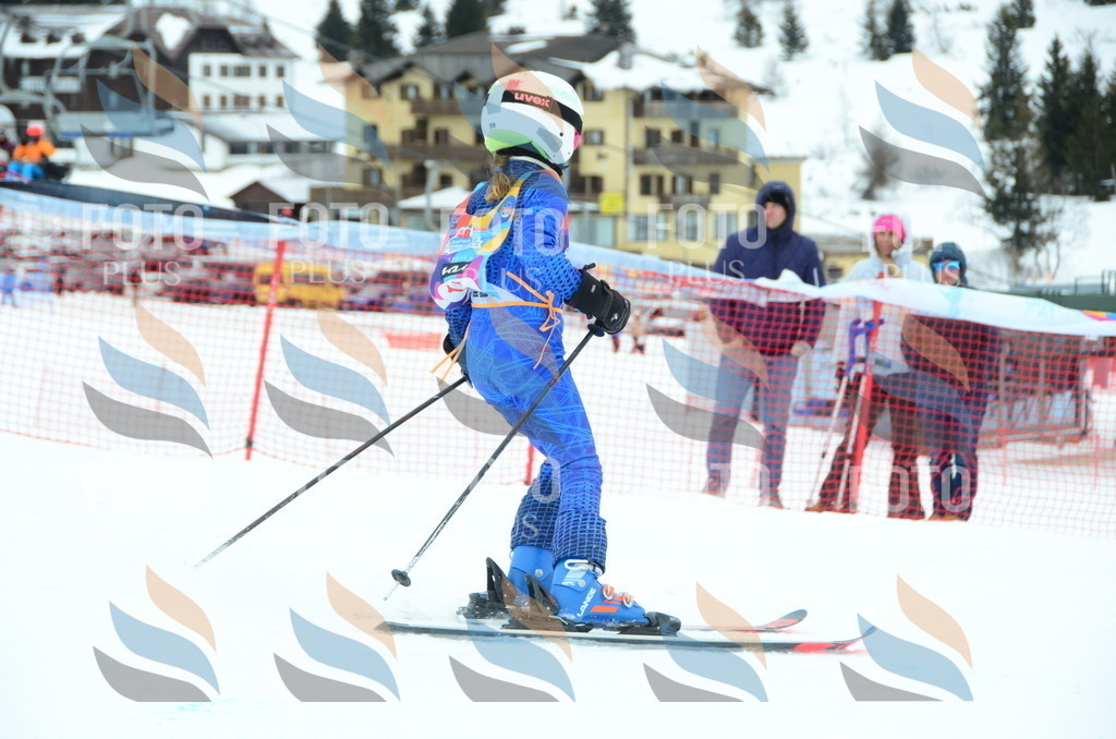 DSC_0743 | holidayphoto