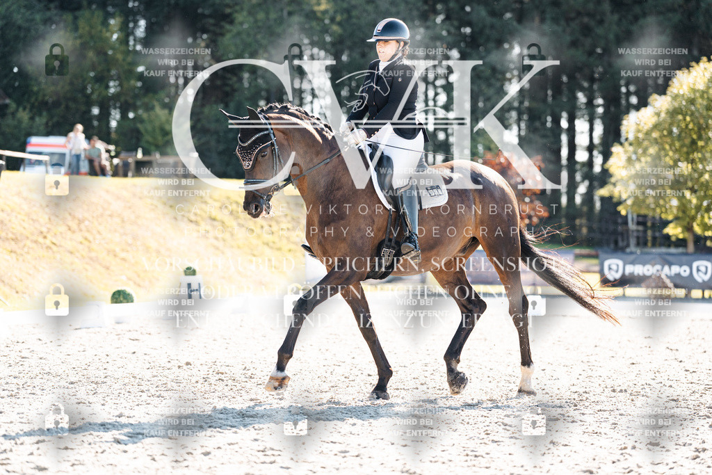 CK906151 | Turnierfotografie Pferdefotografie Trier Rheinland-Pfalz Pferdesport Reitsport Tierfotografie Sportfotografie Pferdevideo Pferdevideografie Equestrianvideography equestrianphotography  - Realisiert mit Pictrs.com