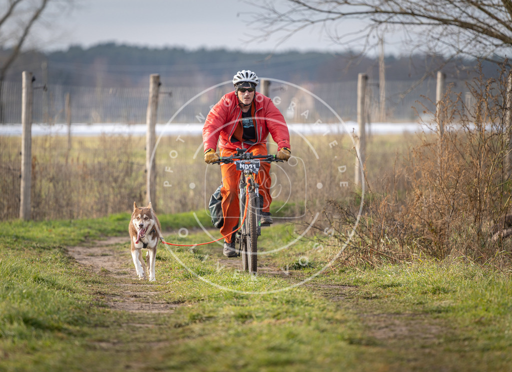 Pfotenfotografie_DV3A6732 | Hundefotografie, Tierfotograf, Pfotenfotografie, Fotoshooting Hund, Hunde Portrait, Hundesport, Hundeportraits, Heideshooting, Hunde, Sportfotograf, Hundefotograf, Turnierhundsport, THS,  - Realisiert mit Pictrs.com