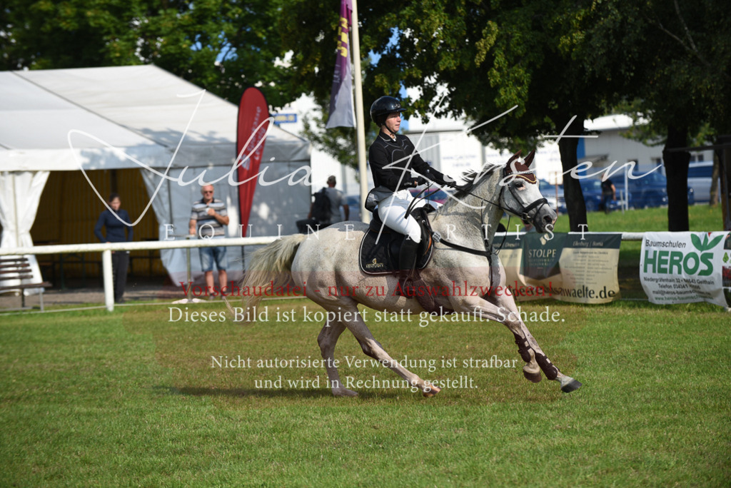 DSC_8739 | Pferde- und Turnierfotografie in Westsachsen. Pferdeportraits, Auftragszeichnungen und intuitive Kunst.