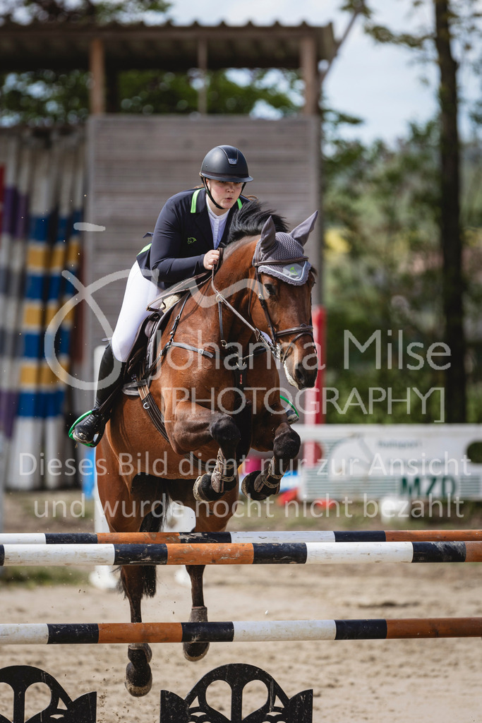 240428_Spenge_M2-Spr-154 | Deine schönsten Turniermomente als professionelle Fotos! Entdecke hochwertige Pferdesport-Fotografie im Online-Shop. Jetzt Fotos finden & bestellen!