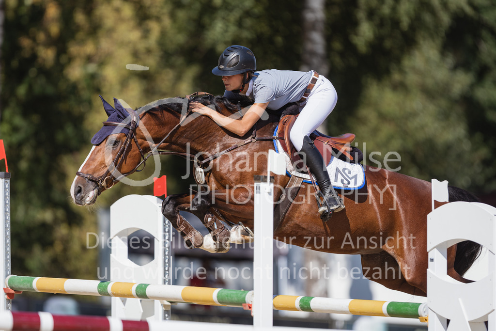 220824_Delbrueck_Stil-M1-230 | Deine schönsten Turniermomente als professionelle Fotos! Entdecke hochwertige Pferdesport-Fotografie im Online-Shop. Jetzt Fotos finden & bestellen!