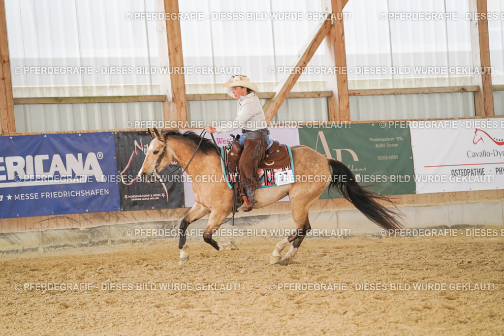 DSC01858 | Pferdegrafie