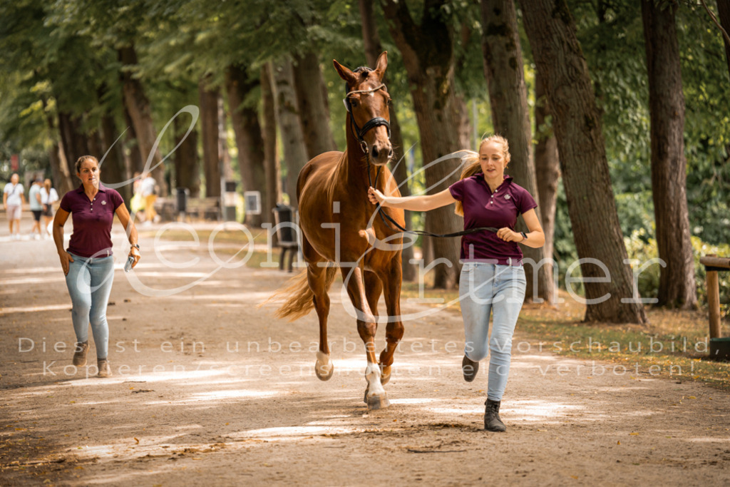 FrPfM00270 | Leoni Ertmer Photography - Realisiert mit Pictrs.com