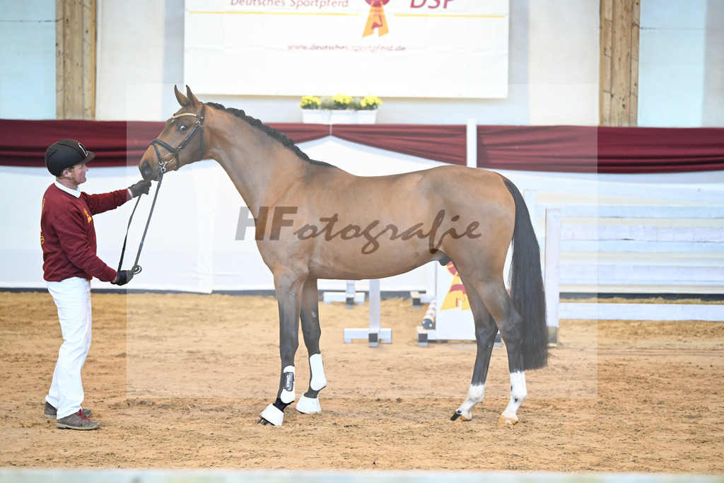 Kat-Nr. 62 v. Asti Spumante_Muehlbauer_66221389 | hf-fotografie - Realisiert mit Pictrs.com