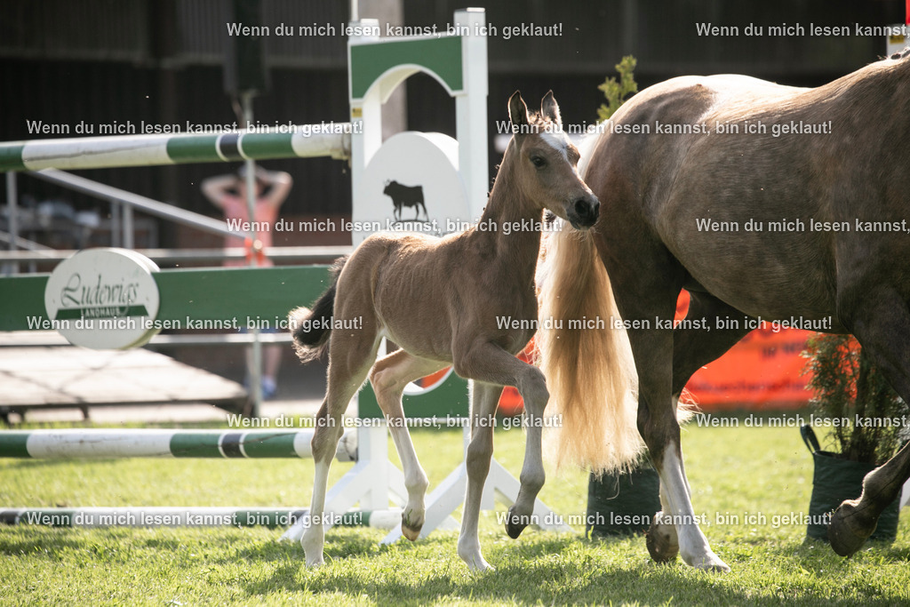 598A6966 | photographylinaismer - Realisiert mit Pictrs.com