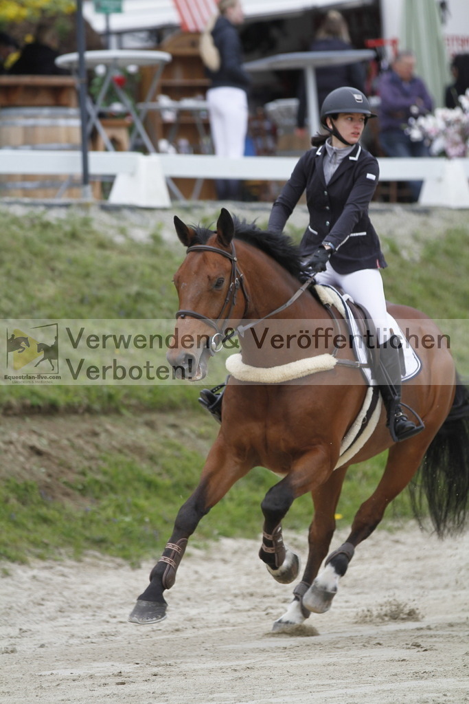 _MG_1296 | equestrian-live-com