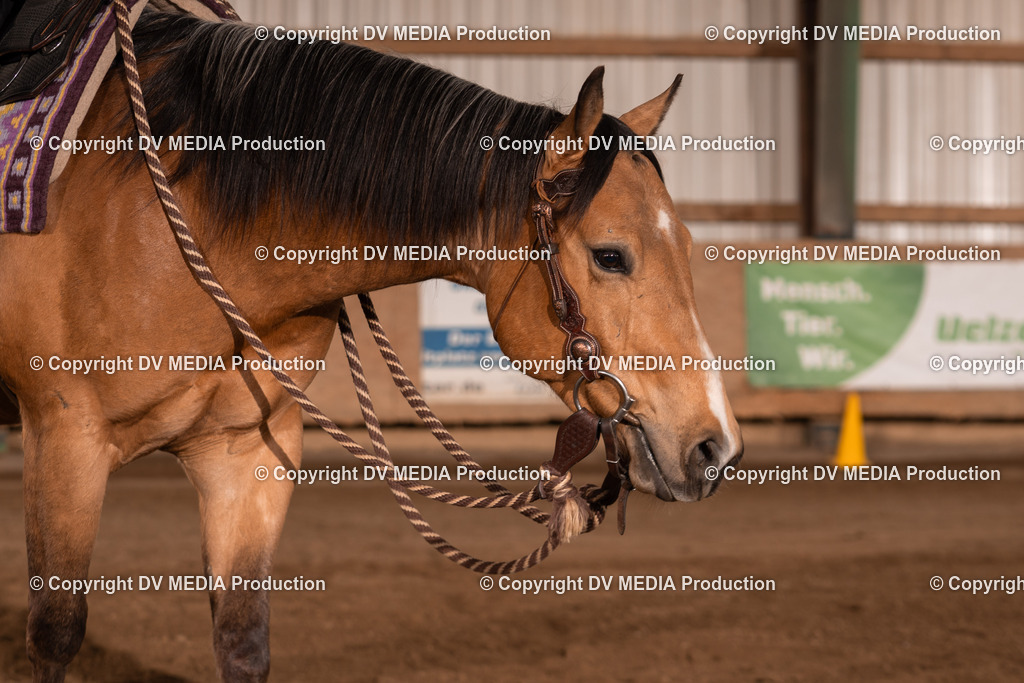 Unbenannt-131 | dv-media-shop - Realisiert mit Pictrs.com