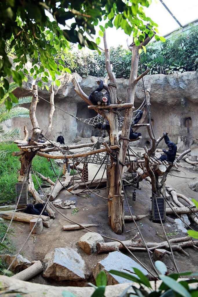 Foto: Leipzig - Zoo | Das Team hinter BILDLEXIKON LEIPZIG bündelt historische wie aktuelle Informationen über die Stadt Leipzig in Text und Bild auf einer Plattform und stellt diese der interessierten Öffentlichkeit zur Verfügung.