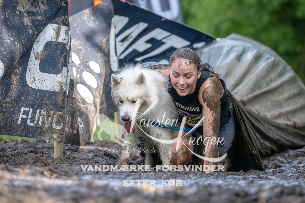 1508_ZZ90847 | kk-dogfotos