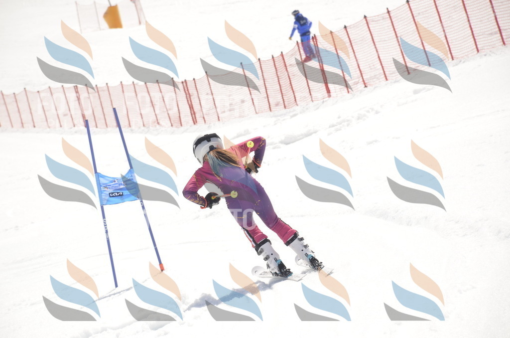 _ELE9361 | holidayphoto