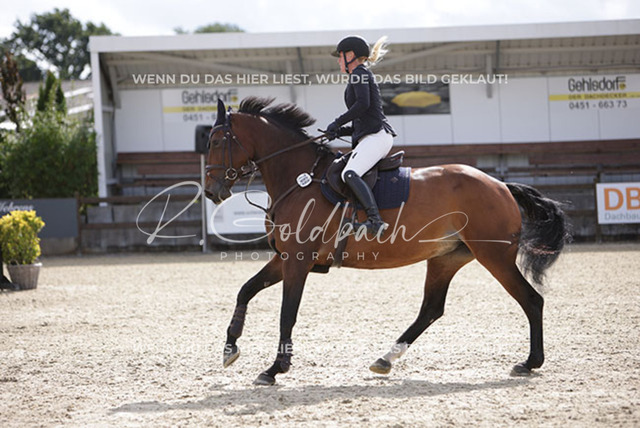 1J2A2952Lisa-Minou Eggers_ Najya Ina_ Kn769_ Havekost | Foto- und Videografie für alles rund ums Pferd. Hochwertige Bilder und Videos vom Spring- und Dressurreiten, Voltigieren & mehr. Jetzt aktuelle Veranstaltungen und Preise im Shop ansehen. - Realisiert mit Pictrs.com