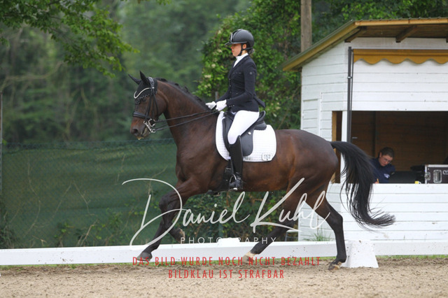 DKP40195 | Turniersportfotografie; Pferdefotografie; Dressurfotografie