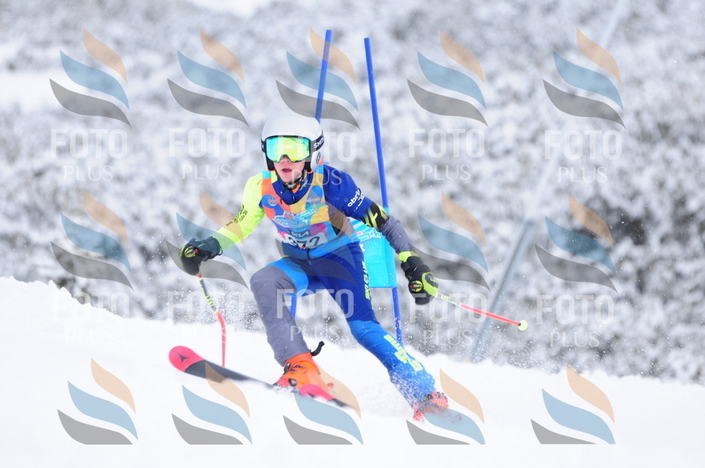 C3962 | holidayphoto