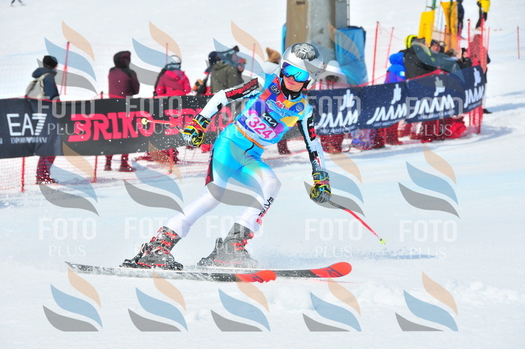 DSC_6747 | holidayphoto