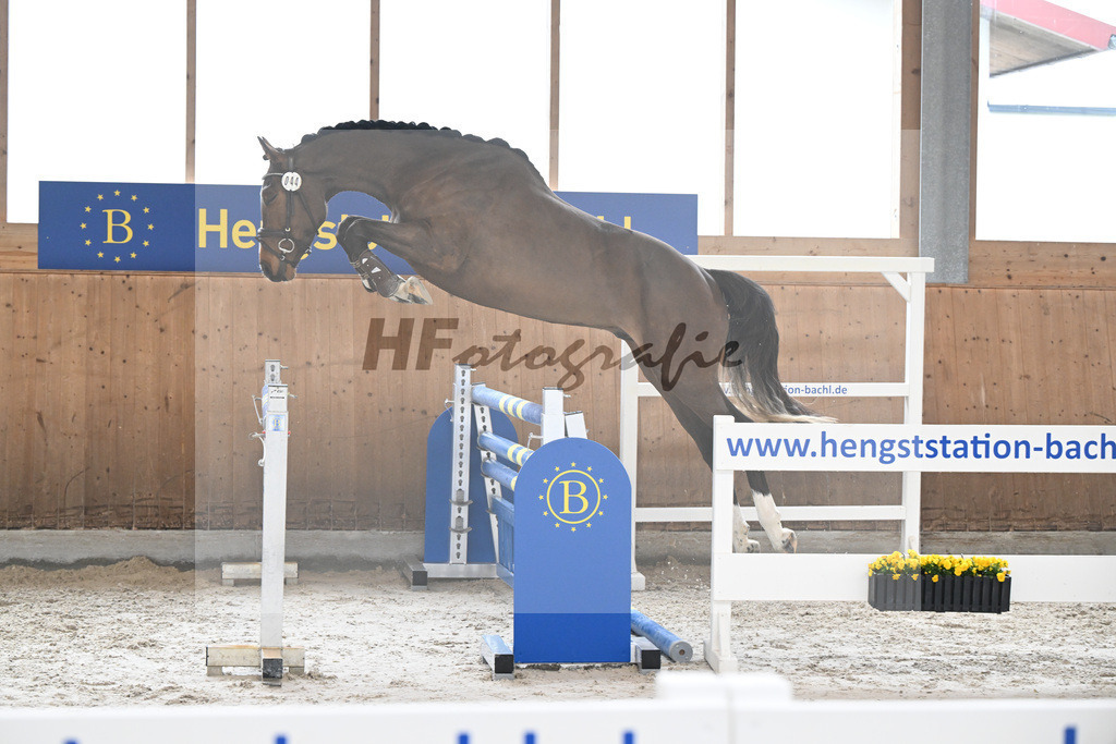 Kat-Nr. 44 Uganos Quabri Sitte v. Ugano Sitte_Keitel u Eder_14260142 | hf-fotografie - Realisiert mit Pictrs.com