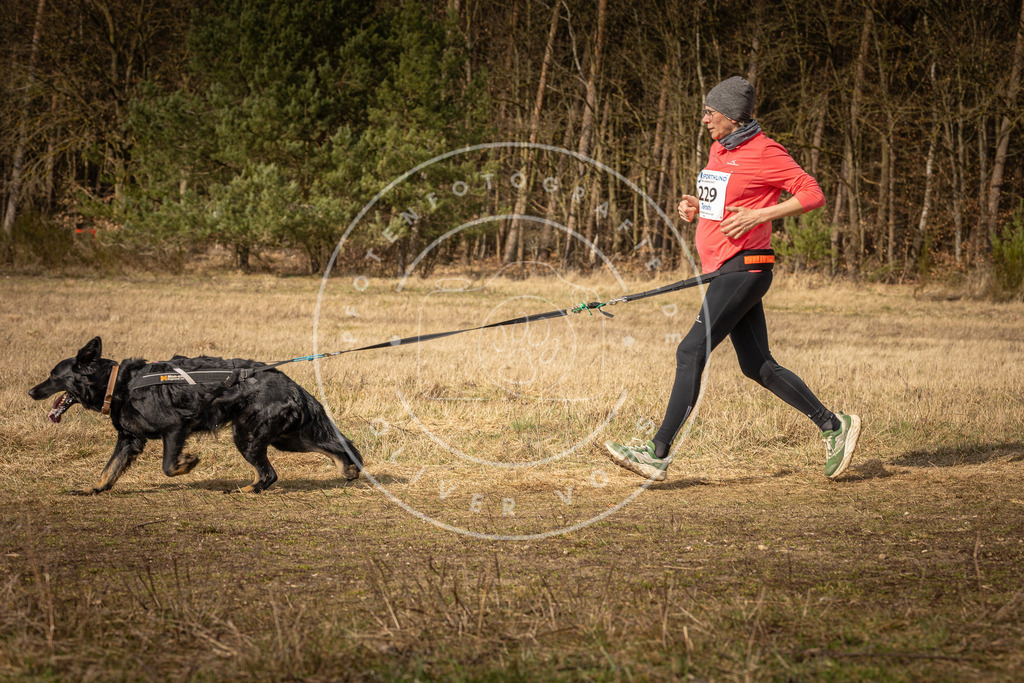 DV3A5498 | Hundefotografie, Tierfotograf, Pfotenfotografie, Fotoshooting Hund, Hunde Portrait, Hundesport, Hundeportraits, Heideshooting, Hunde, Sportfotograf, Hundefotograf, Turnierhundsport, THS,  - Realisiert mit Pictrs.com