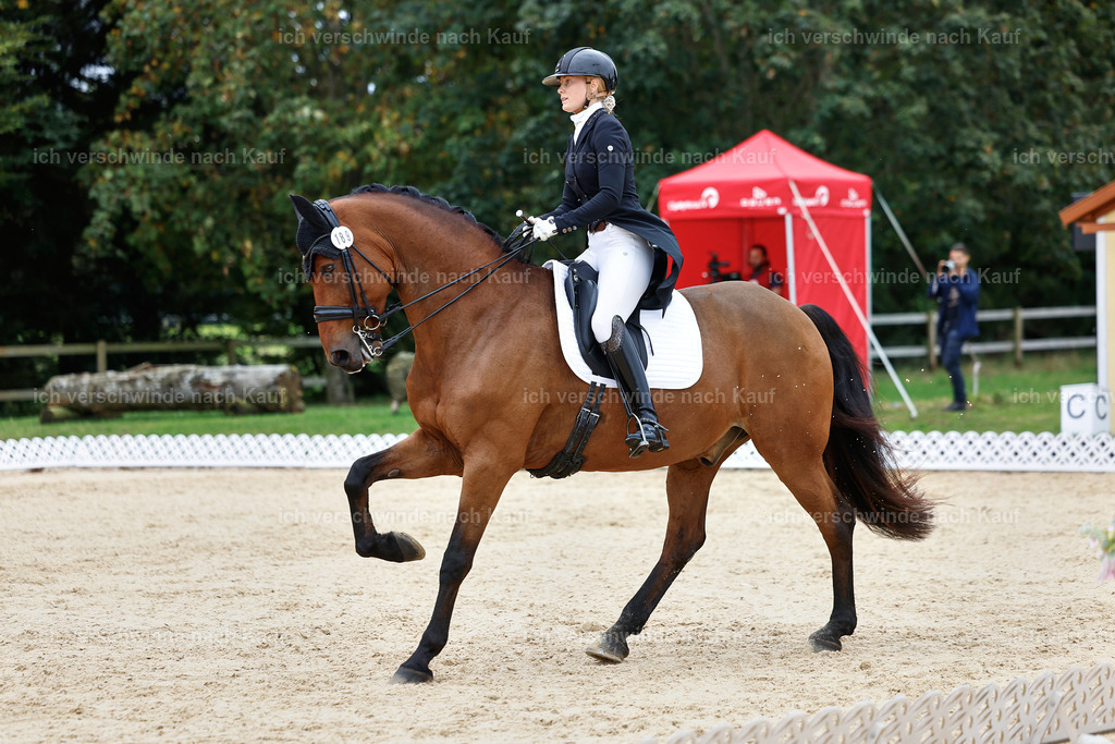 11-189-Dressur S___-StoibPH-926 | working equitationturnier fotograf videograf stoibphotography marixx film working equitation deutschland reitsport turnierfotografie eventfotografie equestrian events