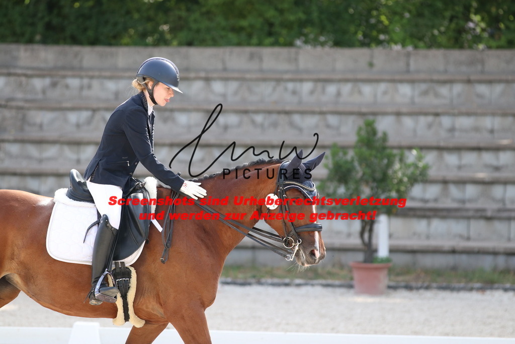 IMG_5701 | lmwpictures - Realisiert mit Pictrs.com