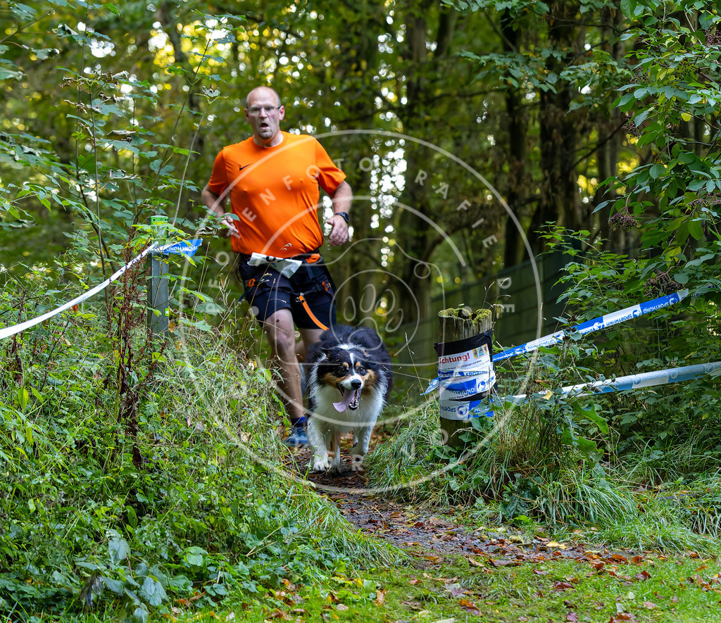 Pfotenfotografie_DV3A7271 | Hundefotografie, Tierfotograf, Pfotenfotografie, Fotoshooting Hund, Hunde Portrait, Hundesport, Hundeportraits, Heideshooting, Hunde, Sportfotograf, Hundefotograf, Turnierhundsport, THS,  - Realisiert mit Pictrs.com