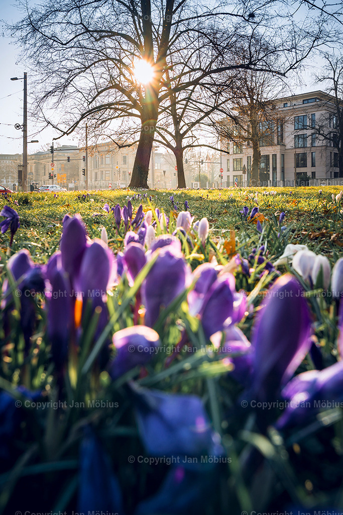 _DSC0272 | Leipzig Wandbilder Drucke Prints Leinwand Stadtmotive Leipzig Fotosdruck Kunstdrucke Bilder Leipzig Stadtansichten Acrylglasbilder Leipzig Wanddeko Fine Art Prints Wandbilder Büro Leipzig Bilder Praxis Zuhause Bilderdruck Poster Posterlounge Kunstdrucke - Realisiert mit Pictrs.com